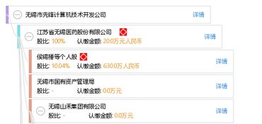 無錫市先鋒計算機技術開發公司的技術開發實踐與行業啟示